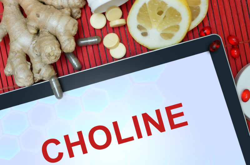 The Best Choline Supplements for Weight Loss: Which One is Right for You?